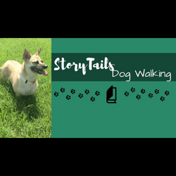 Story Tails dog sidebar top
