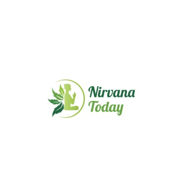 imgi 9 nirvana today logo